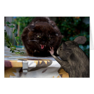 Fred! Hälsningskort