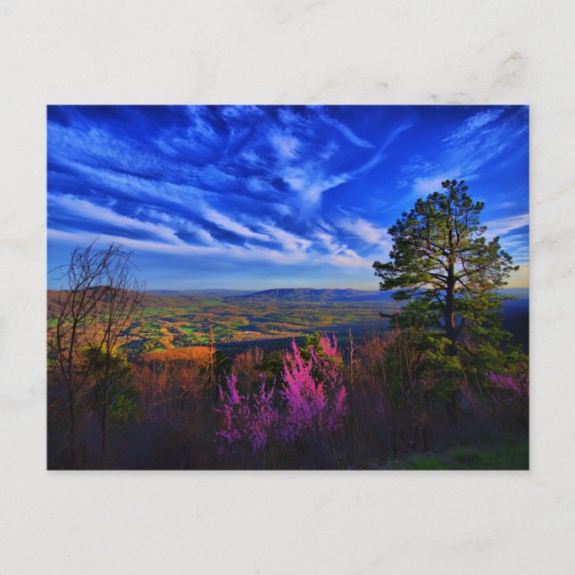 fred i dalen vykort (Framsida)