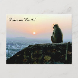 Fred i Jordens Meditation Monkey India Sunset Vykort