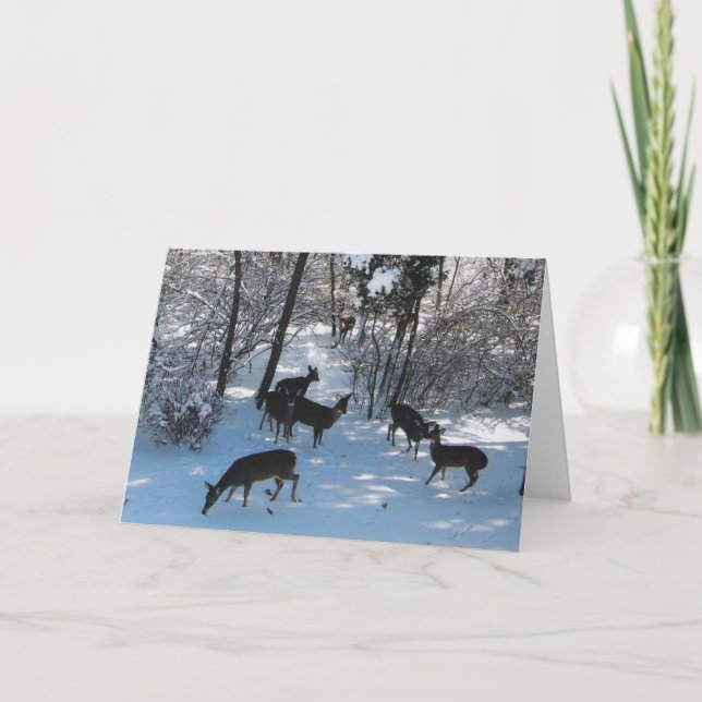 Fred i jul kort (Framsida)