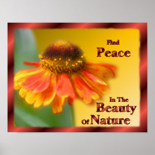 Fred i naturen, Zinnia, blomstrar inspiration Poster