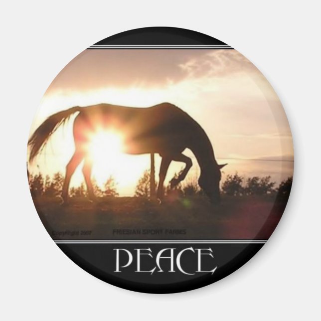 Fred i Sunset Magnet (Framsidan)