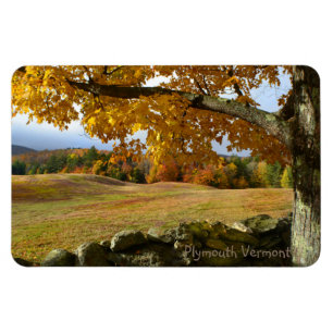 Fred i Vermont Magnet