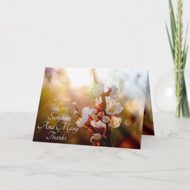 Fred, Kärlek, solsken och många tack (Framsida)