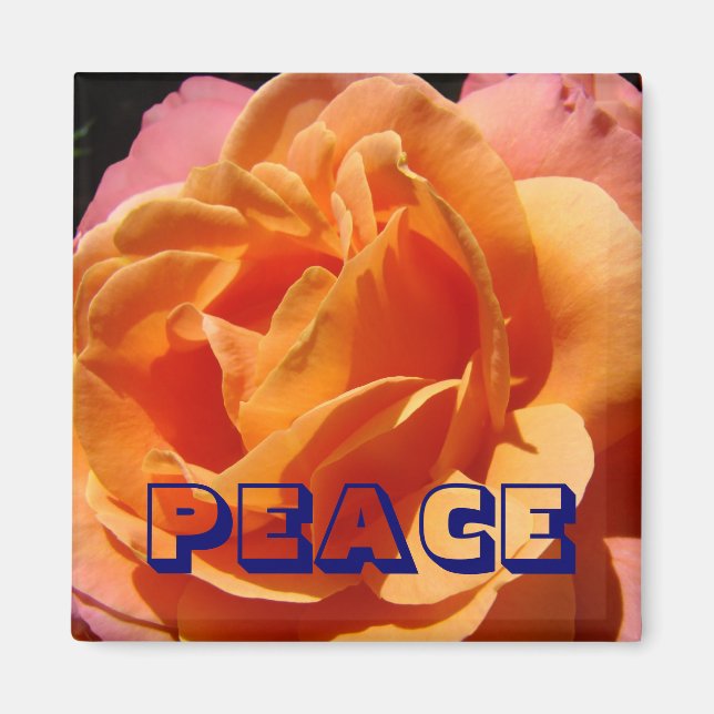 FRED magnet Orange Rosa Blomma natur (Framsidan)