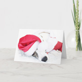 Fred och cookies från Ryder i kärlek Helgkort