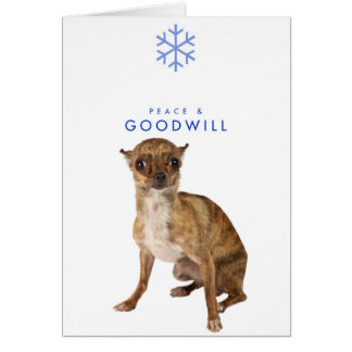 FRED OCH GOODWILL_1 HÄLSNINGSKORT