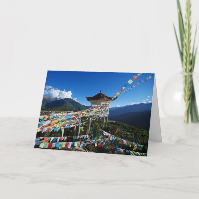 Fred och harmoni kort (Framsida)