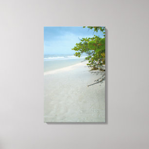 Fred och tystnad på Sanibel Island Canvas