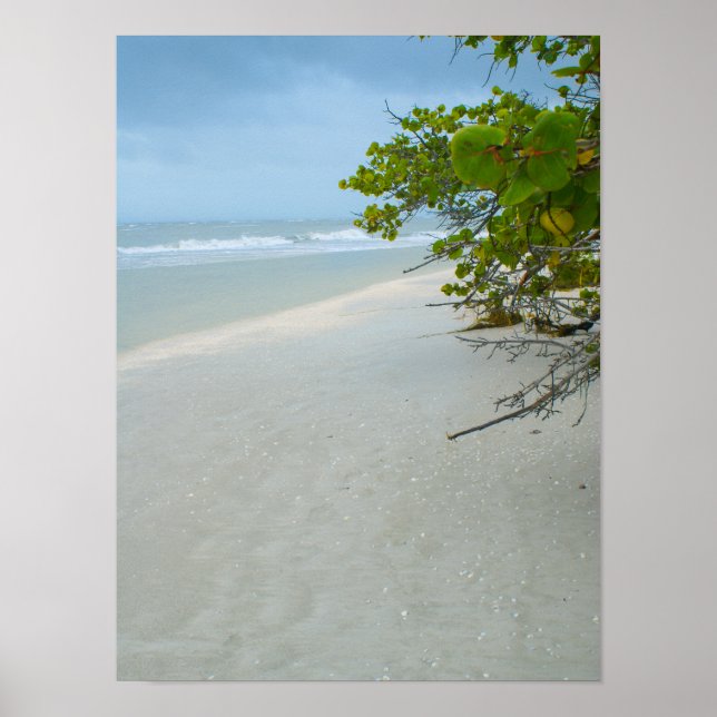 Fred och tystnad på Sanibel Island Poster (Framsidan)