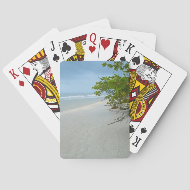 Fred och tystnad på Sanibel Island Spelkort (Baksidan)