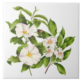 "Fred på jorden" på en keramisk platta Kakelplatta