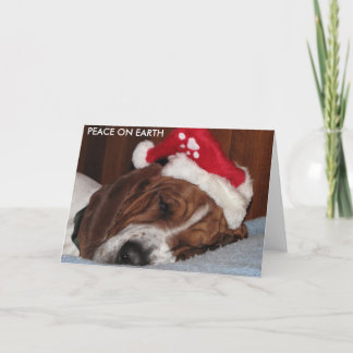 FRED PÅ JORDKORT HELGKORT