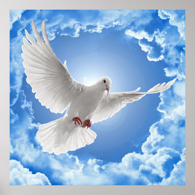 Fred Poster (Framsidan)