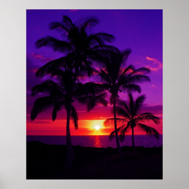 Fred Poster (Framsidan)