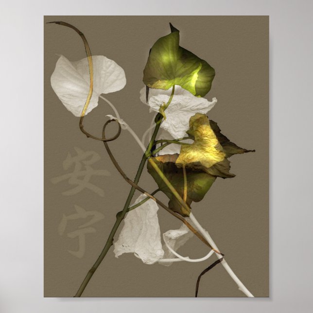 Fred Poster (Framsidan)