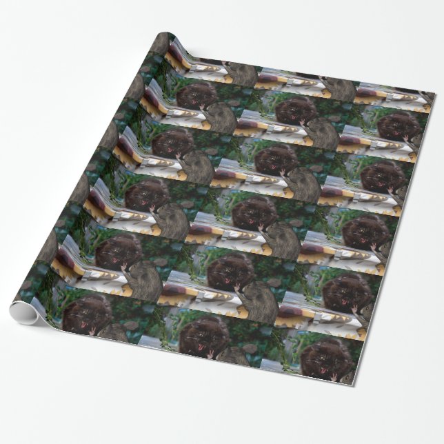 Fred! Presentpapper (Utrullad)