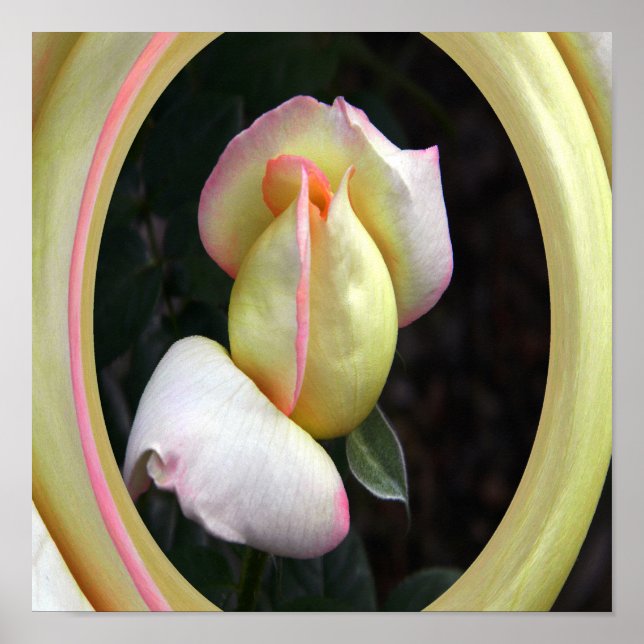 Fred Ro Kärlek.... Poster (Framsidan)