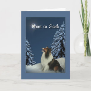 Fred Sheltie Helgkort