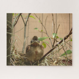 Fred the baby kardinal - puzzle pussel