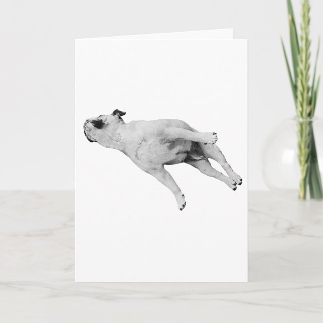 Fred vare med dina tassar kort (Framsida)