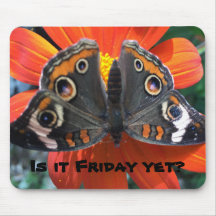 Fredag humor musmatta