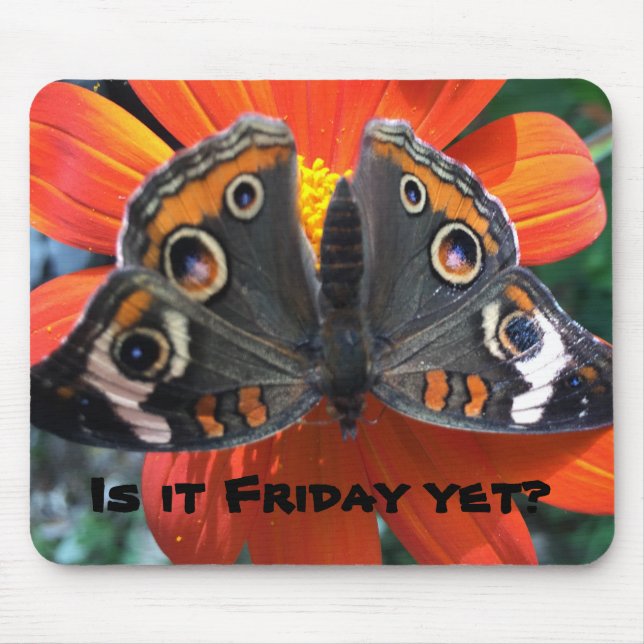 Fredag humor musmatta (Framsidan)