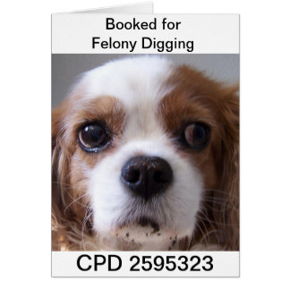 Fredag Mugg Shot Hälsningskort