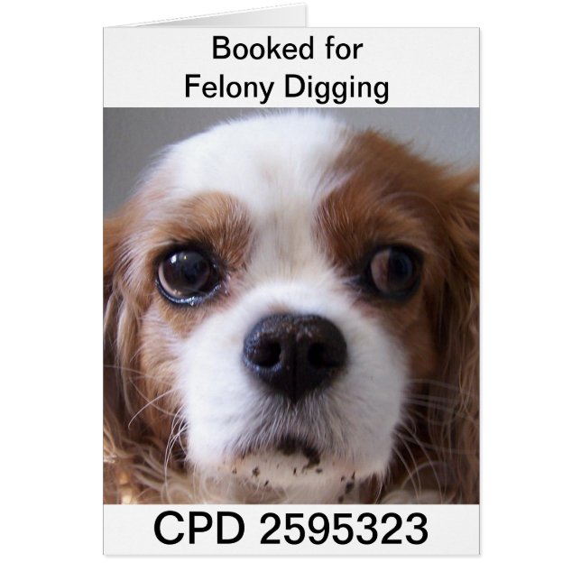 Fredag Mugg Shot Hälsningskort (Framsidan)