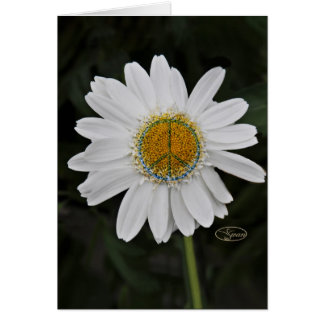 freddaisy hälsningskort