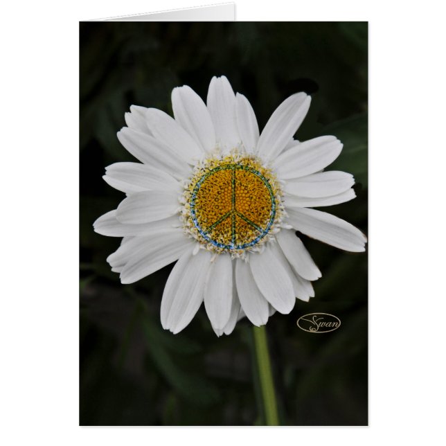 freddaisy hälsningskort (Framsidan)