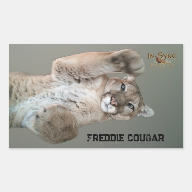 Freddie Cougar Rektangulärt Klistermärke (Framsida)