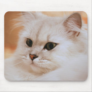 Freddie den underbara Mousepaden Musmatta