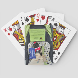 Freddie som leker kort casinokort