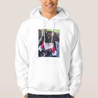 Freddie tröja hoodie