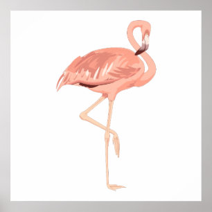 Freddy Flamingo Poster