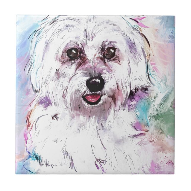 FREDDY KAKELPLATTA (Framsidan)