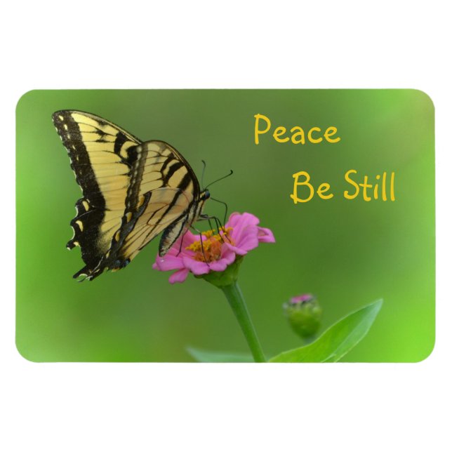 Freden är fortfarande fjäril magnet (Horisontell)