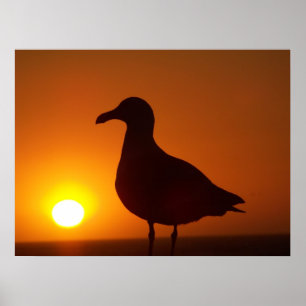 Freden är stilla_ poster