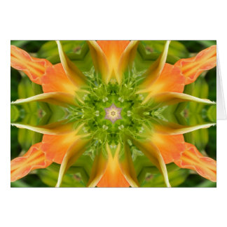 Freden Mandalas blomma Hälsningskort