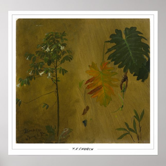 Frederic Edwin Church Fine Art #48 Poster (Framsidan)