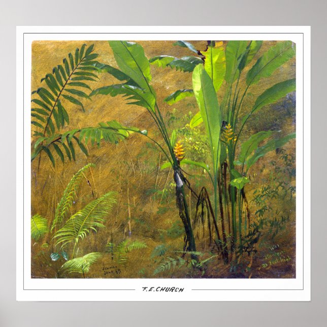 Frederic Edwin Church Fine Art #651 Poster (Framsidan)