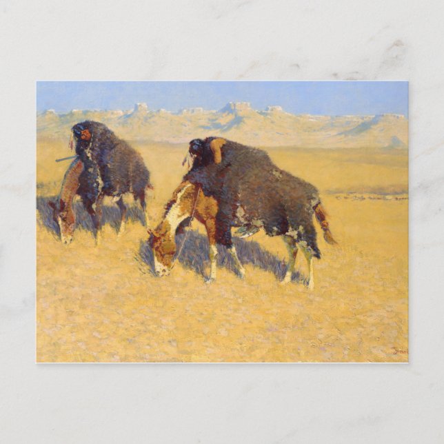 Frederic Remington - Indians Simulating Buffalo Vykort (Framsida)