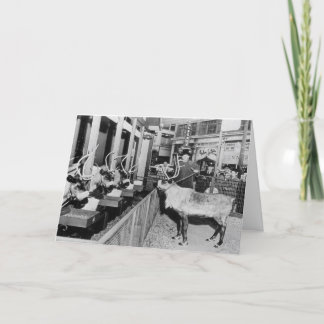 Frederick & Nelson julfönster Helgkort