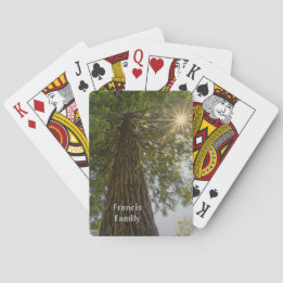 Fredfull Skog Med Gyllene Ljus Naturfoto Casinokort