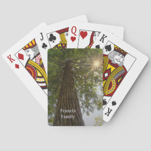 Fredfull Skog Med Gyllene Ljus Naturfoto Casinokort