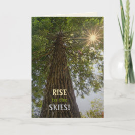 Fredfull skog med gyllene ljus naturfoto kort