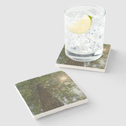 Fredfull skog med gyllene ljus naturfoto stenunderlägg