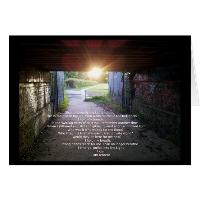 Fredi Stewart Hälsningskort (Framsidan Horizontal)