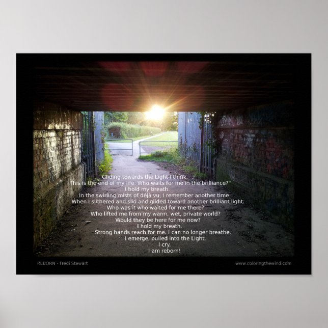 Fredi Stewart Poster (Framsidan)